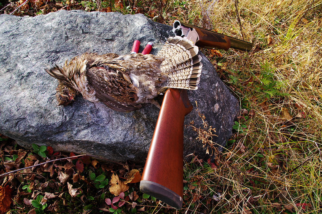 Grouse Hunting The Hill Motel